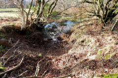 The oldest of the Swffryd levels, January 2011